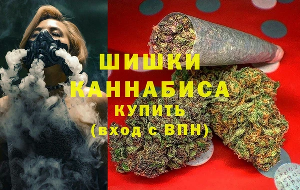 дживик Белокуриха
