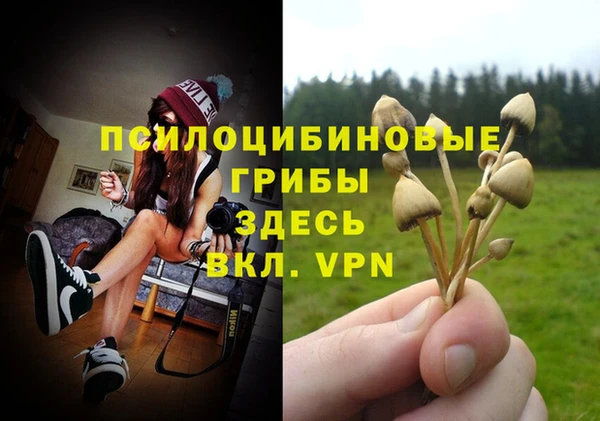 ALPHA PVP Богородицк